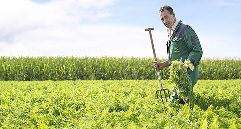 Ein Mann in einem grünen Overall steht in einem riesigen Feld voller grüner Pflanzen, in der Hand eine Mistgabel und ein Pflanzenbündel.