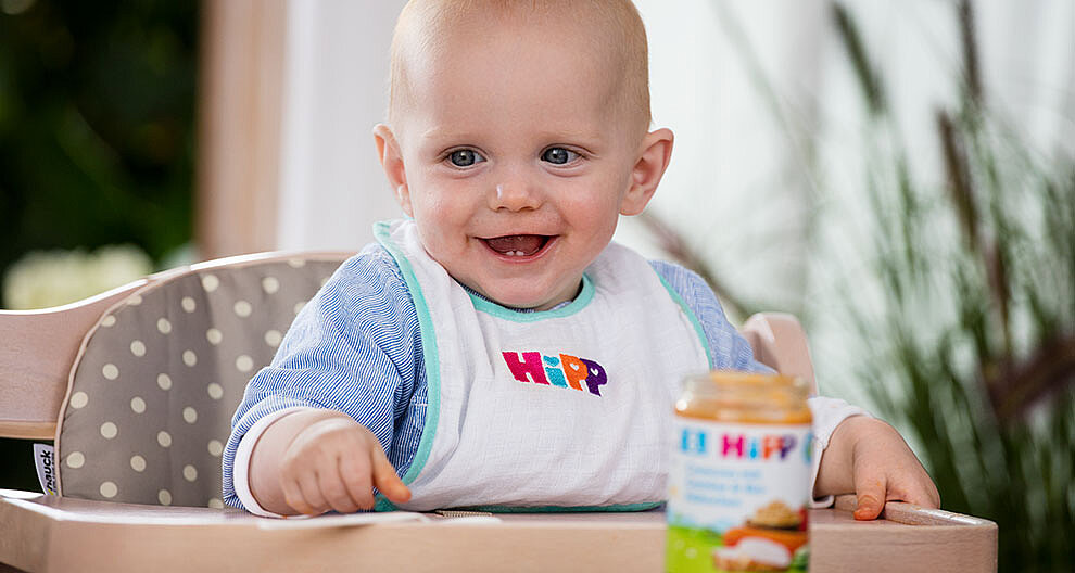Wann Beginnt Der 6 Monat www.hipp.de