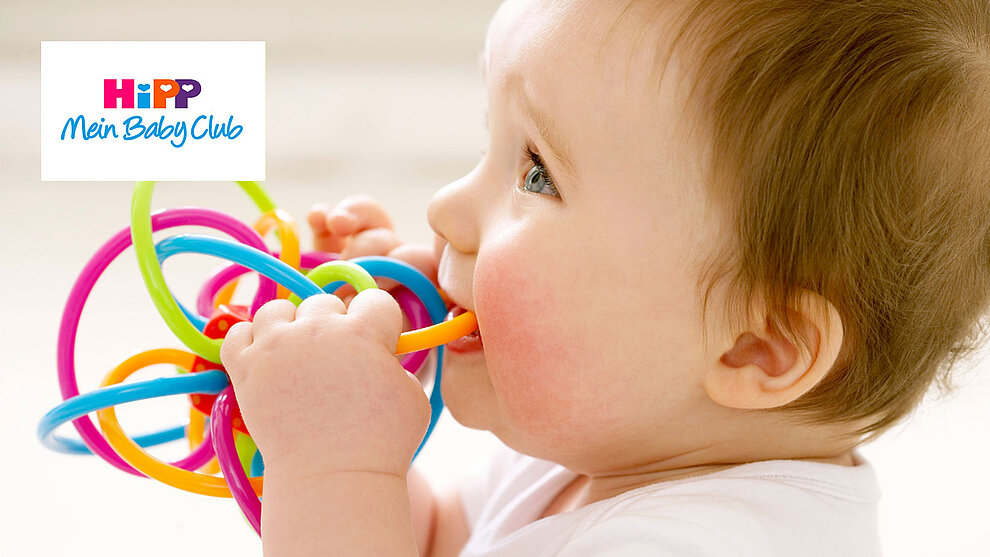 Ein Baby kaut auf einem farbenfrohen, mit mehreren Schlaufen versehenen Spielzeug, auf dem oben links das Logo des "HiPP Mein Baby Club" prangt.
