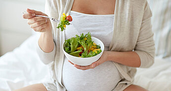 3. Trimester