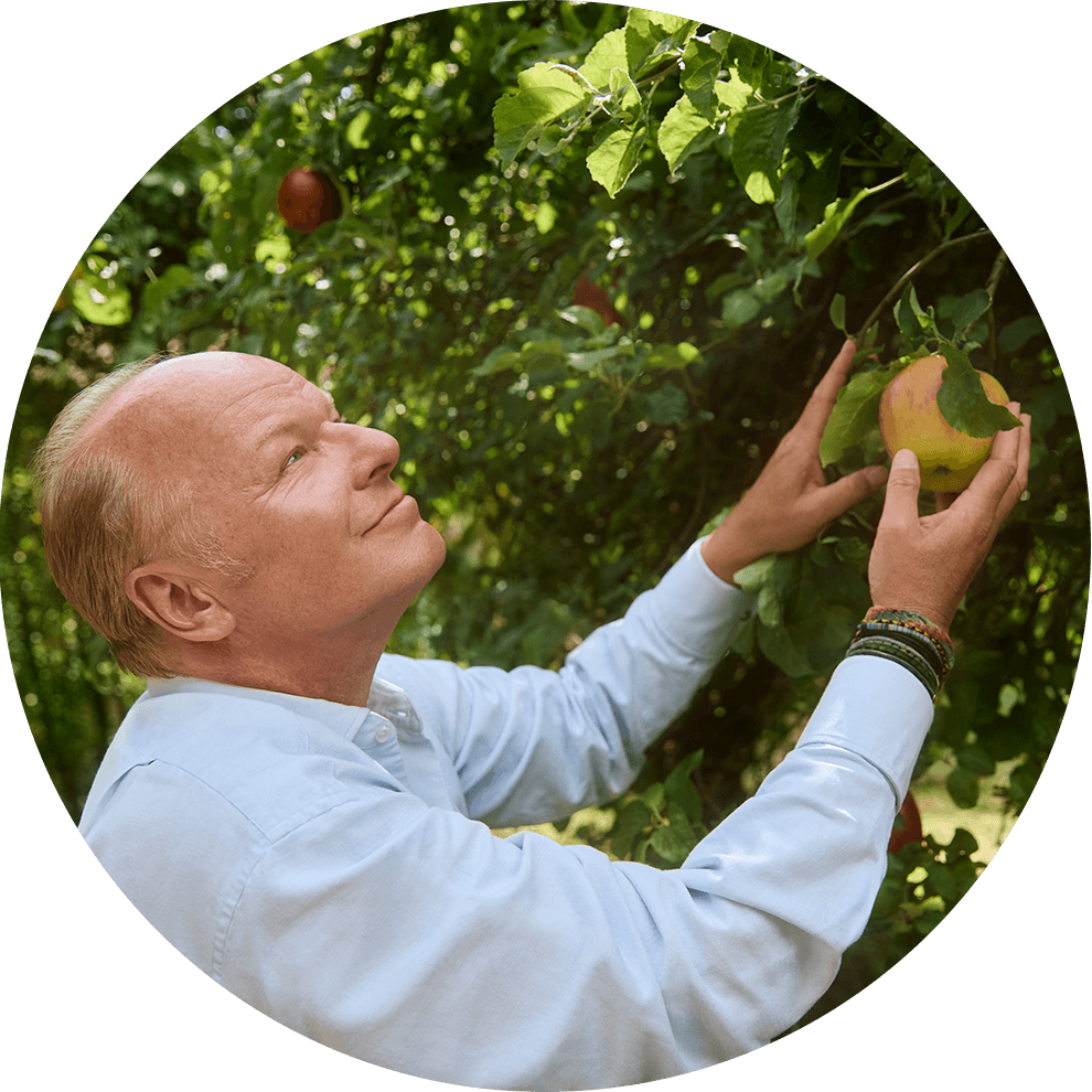 Ein Mann, der ein hellblaues Hemd trägt, streckt seine Hand aus, um einen reifen Apfel an einem Baum zu berühren.
