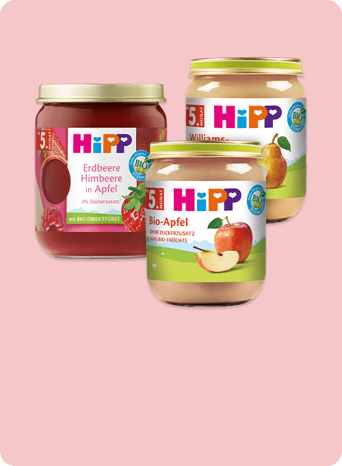 Drei Gläschen mit Babynahrung der Marke "Hipp", auf denen jeweils eine andere Frucht und ein Nährwert von 5 % Zuckerzucker angegeben ist.